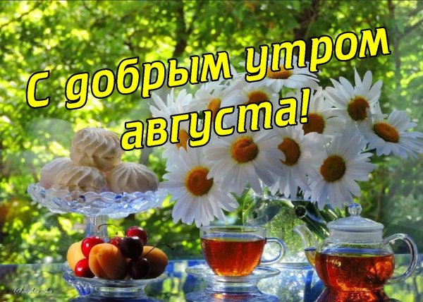 доброго утра август