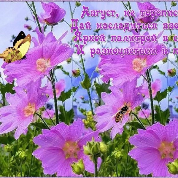 летние деньки