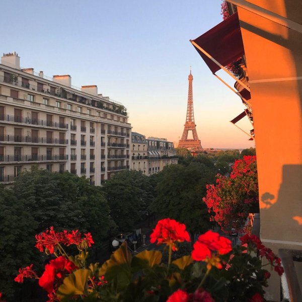 роза эйфель тауэр