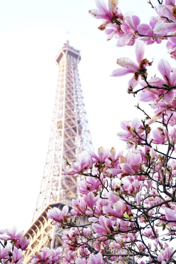 париж весна