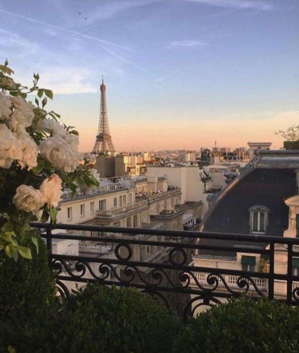 эстетика парижа