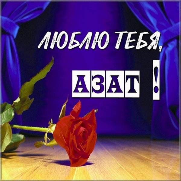 эля я тебя люблю