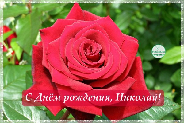 поздравить с днем рождения николая