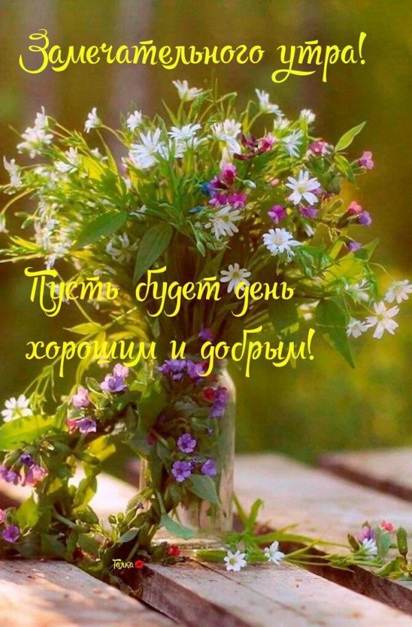 летние утренние цветы