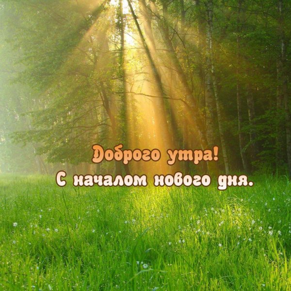 доброе утро прекрасного дня