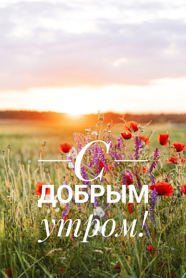 летнее утро доброе