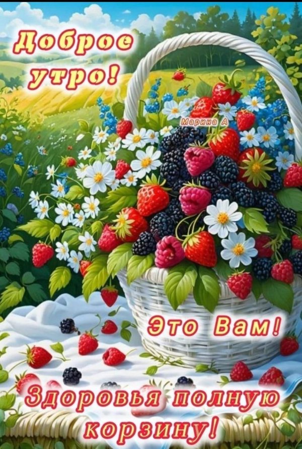 летнего утра