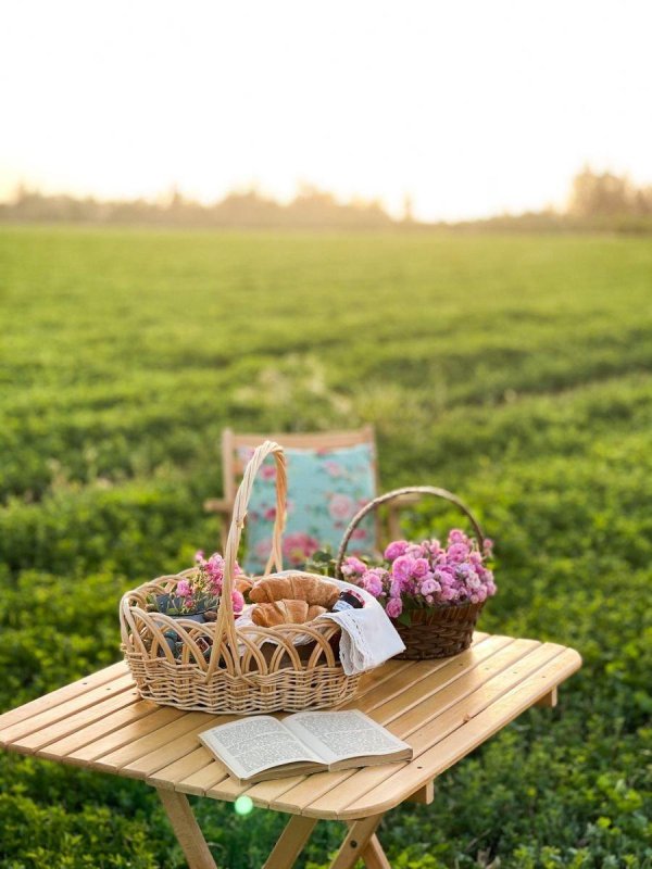 красивый пикник