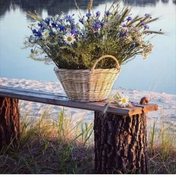 купальские травы обереги