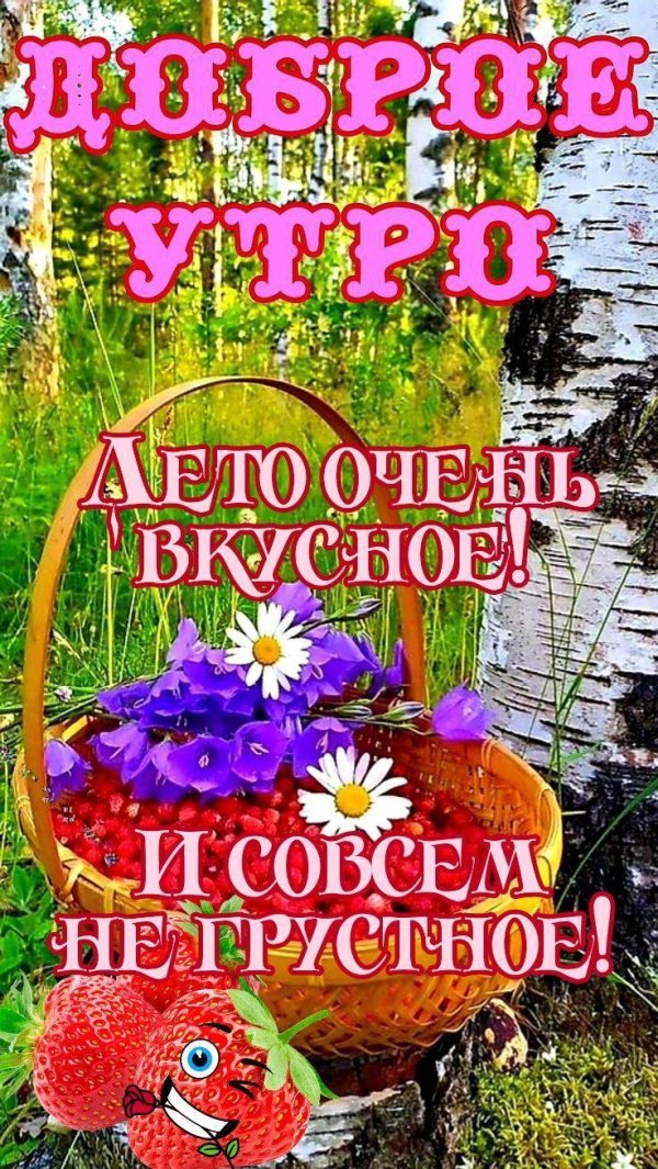 летнего утра