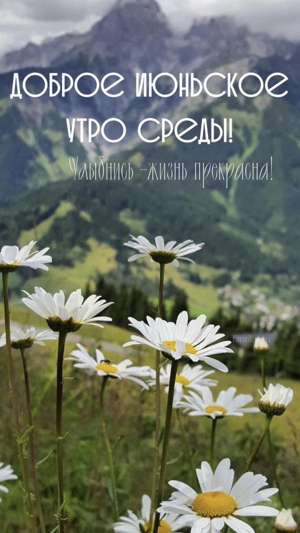 доброго июньского утра