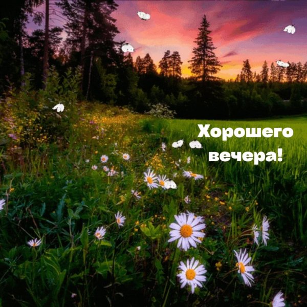 добрый вечер вечер