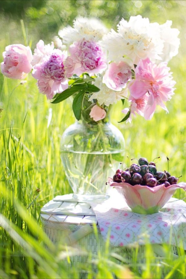 натюрморт на природе