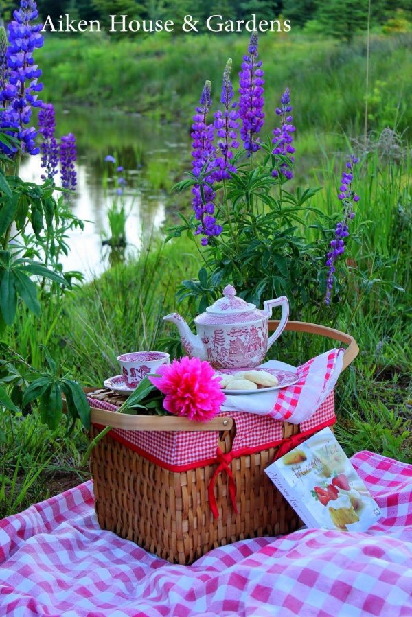 летний пикник