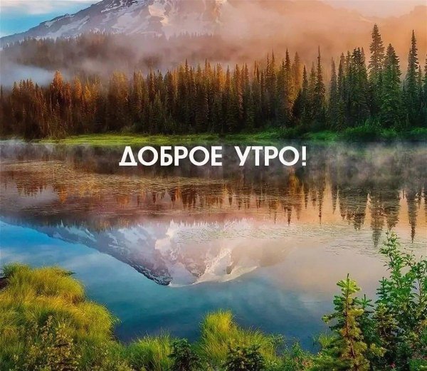 природа доброе утро