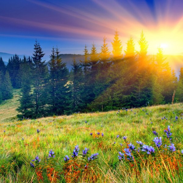 21 июня летнее солнцестояние