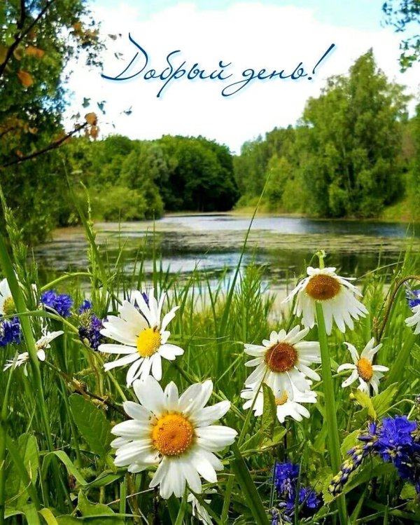 фотопейзажи сергея краева