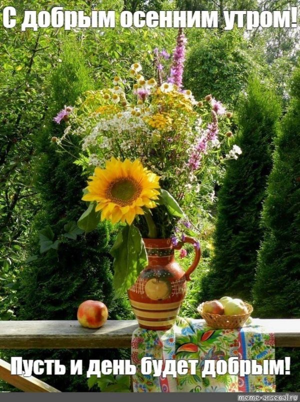 добрейшего летнего утра