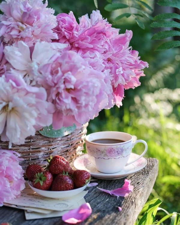 чудесного утра