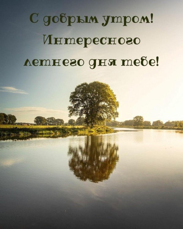 летние открытки с добрым утром