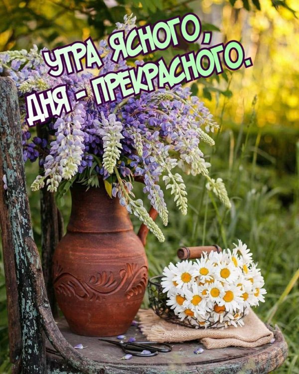 доброго утра августа красивые