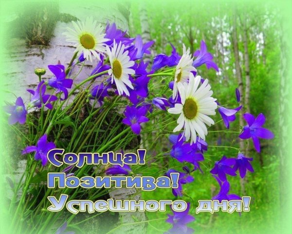 доброго солнечного дня