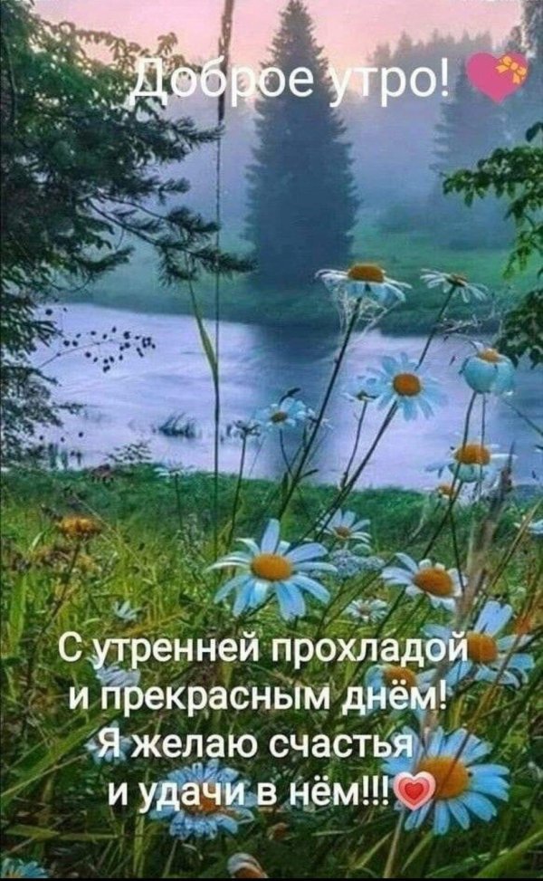 утренняя прохлада