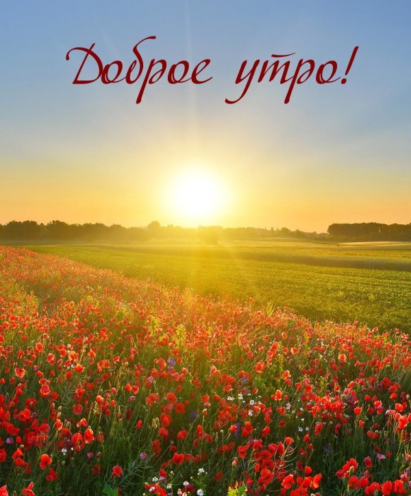доброго утра рассвет