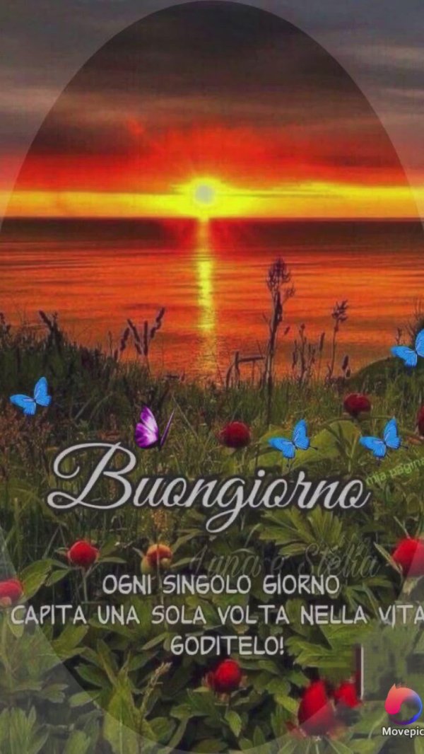 buon giorno