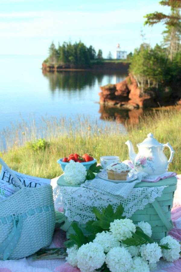 picnic by the sea