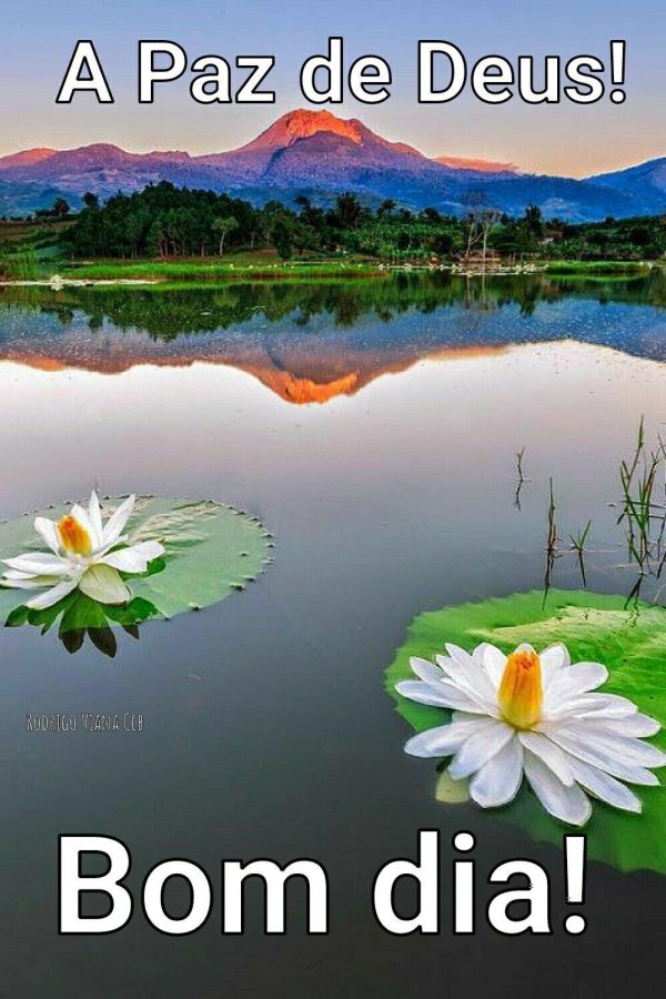 удивительная природа