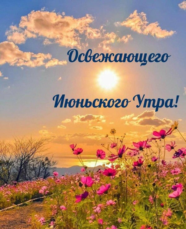 июньский день