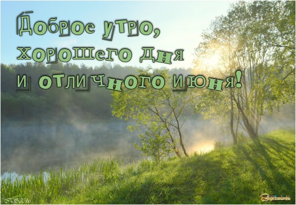 доброе утро мужчине природа