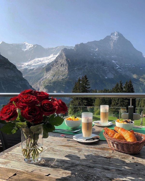 шамони завтрак горы