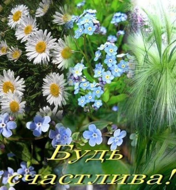 букет незабудки