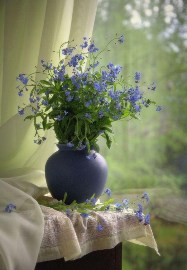 смирновские незабудки щербаков