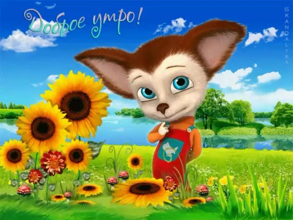 барбоскины малыш