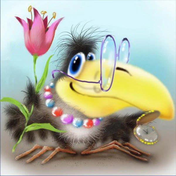 ворона каркуша