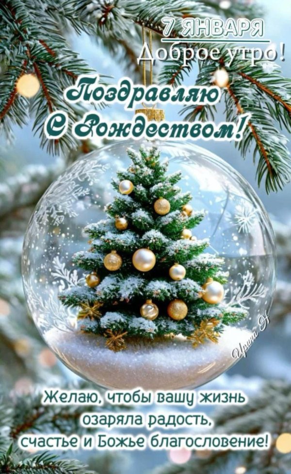 светлого рождества