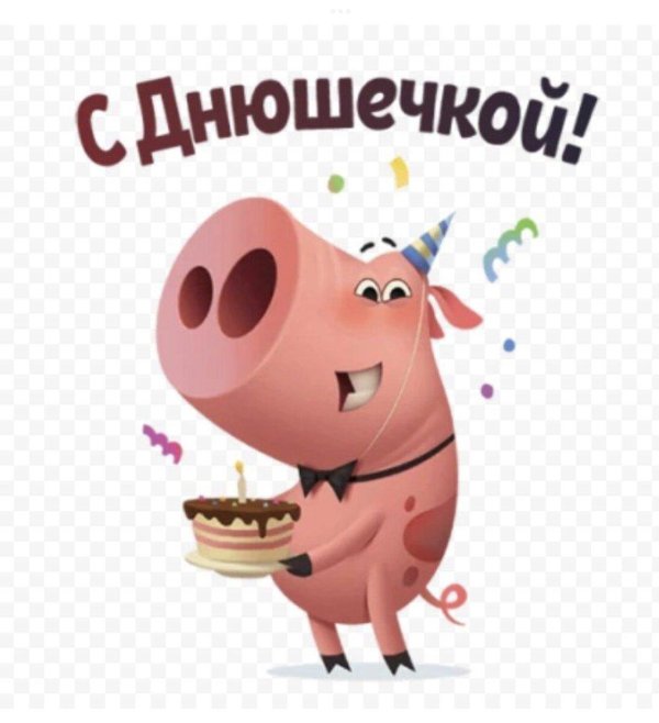 свиньи смешные