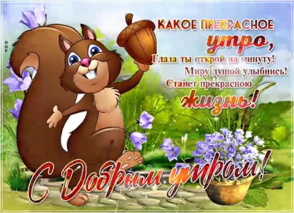 добрая открытка с добрым утром