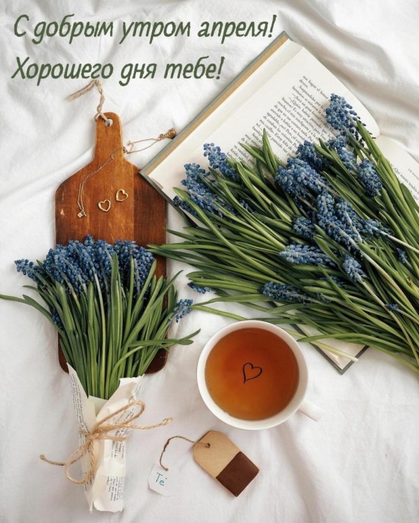 доброе утро апрель