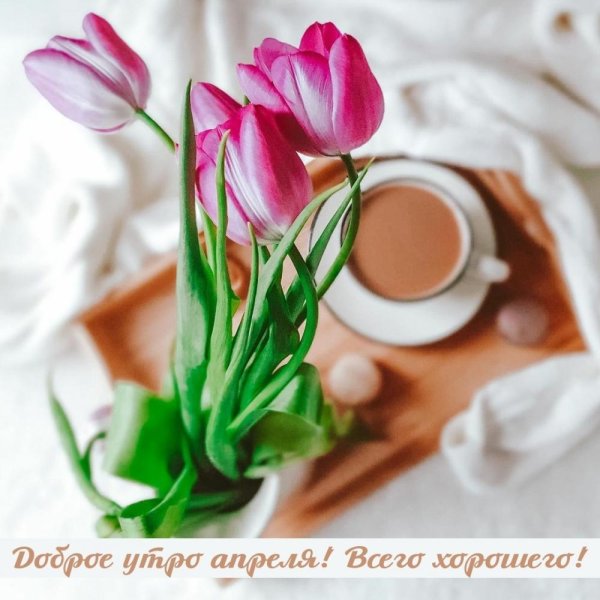 доброе карельское утро