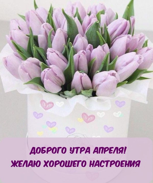 букет тюльпанов