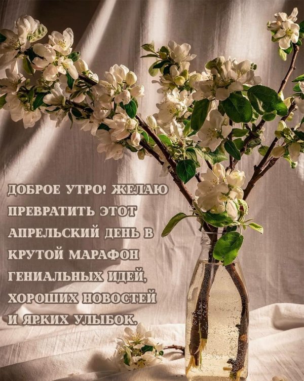 доброго утра весна