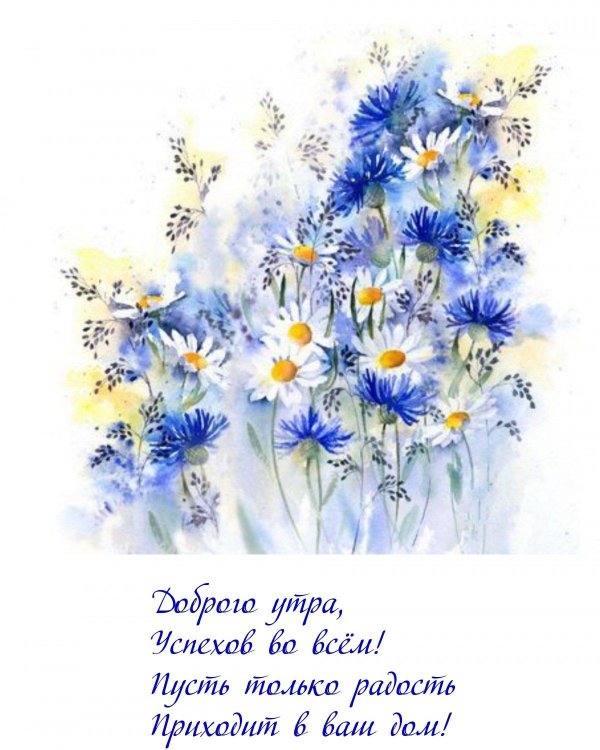 цветок акварель