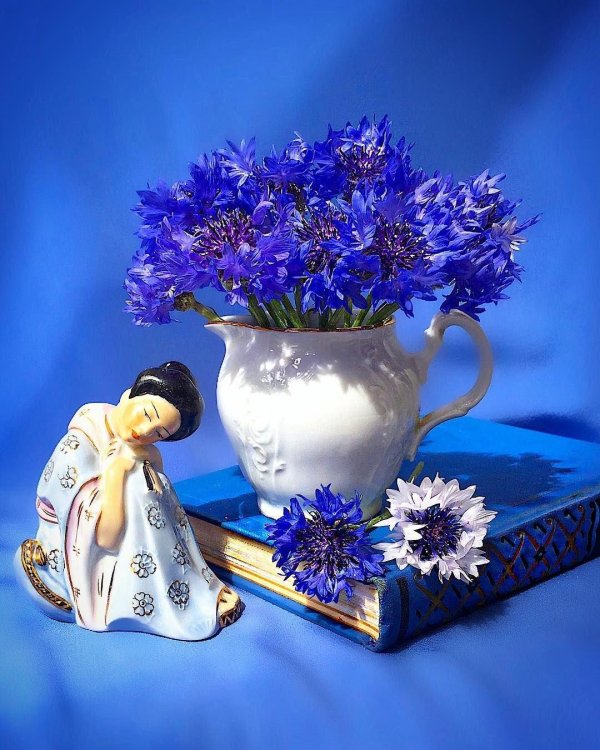 открытка с васильками