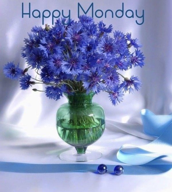 красивый букет васильков