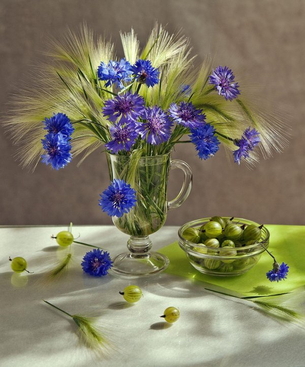 красивый букет васильков