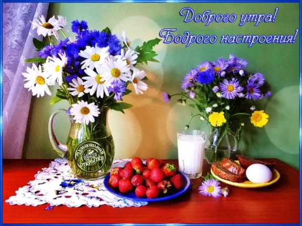 доброе утро с полевыми цветами